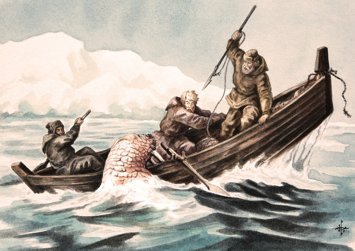 Охота на моржа...