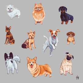 Небольшие собаки :)