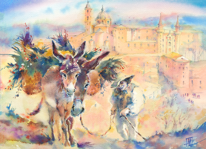 Италия.Урбино.Ослики