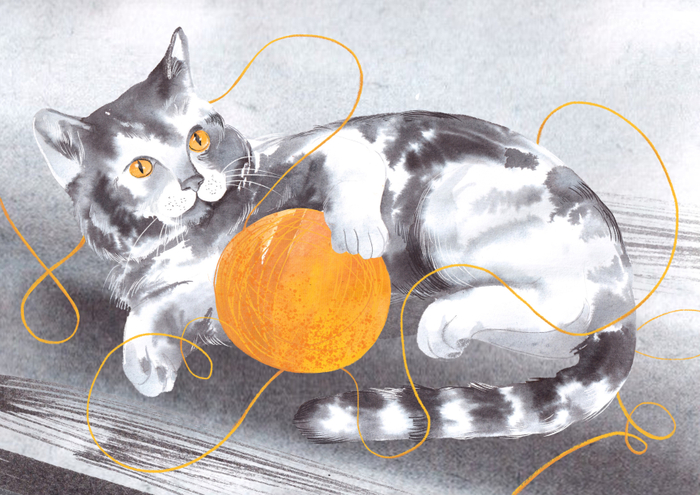 Домашние животные