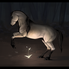 Лучик Солнышка в ночи 