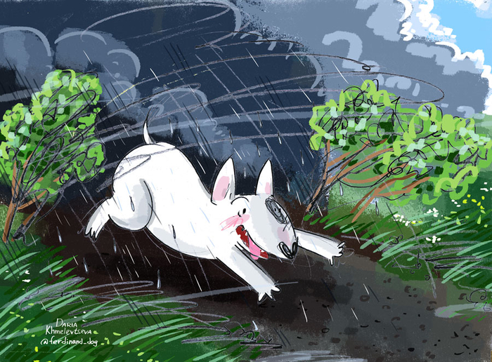 внезапная гроза и собака