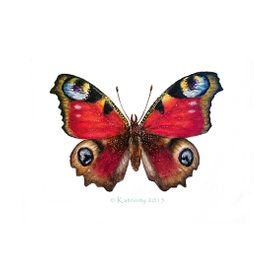 Павлиний глаз