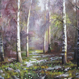 Подснежники в берёзовом лесу