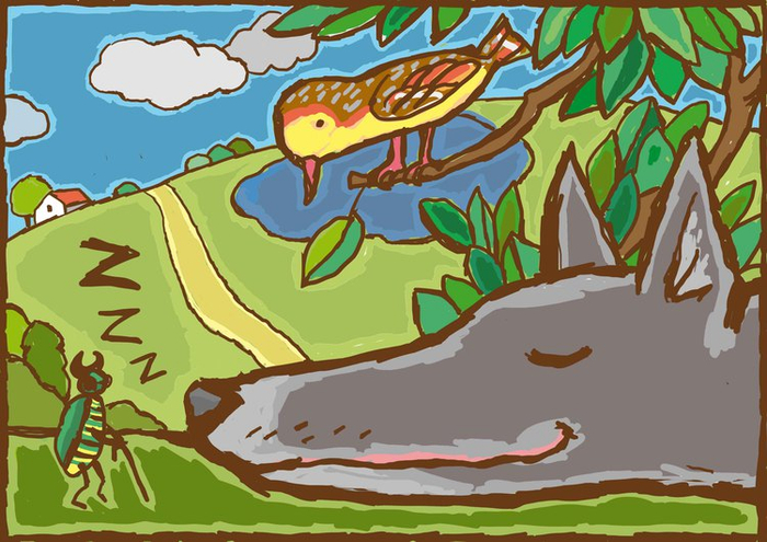 спящий волчёк