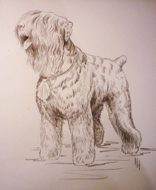 РЧТ (Русский черый терьер)