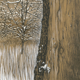 Зимние деревья 1