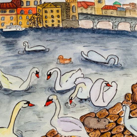 Белые лебеди на пруду