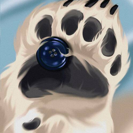 Медвежья лапа