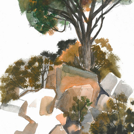 Крым, Алупка. Парк Воронцовского дворцарца