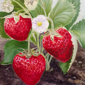 Вспомнить вкус лета