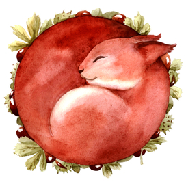 Спящая белочка