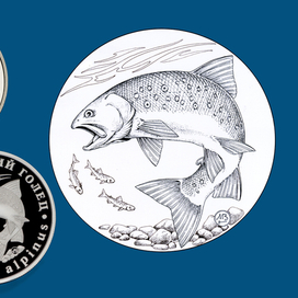 Арктический голец. Серия Красная Книга СССР