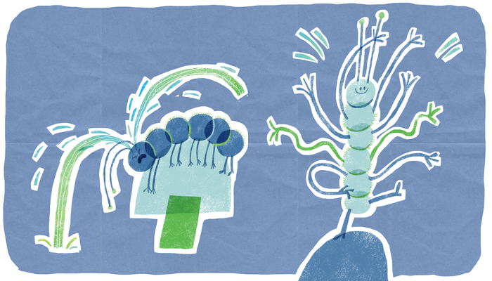 Эмоциональные качели