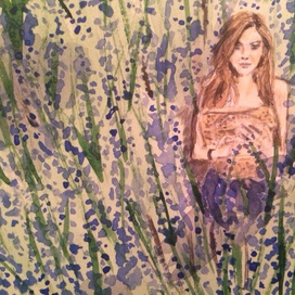 Полевые цветы