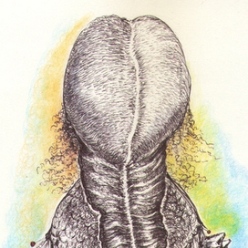 Коса-косИща!