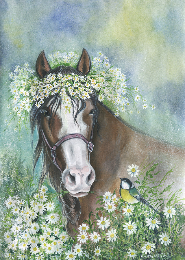 Лошадка в ромашках