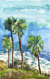 пальмы на обрыве