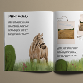 разворот познавательной non-fiction книги "Мир глазами животных",верстка