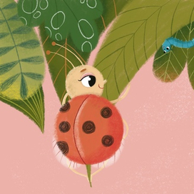 Кто живет на лугу_6