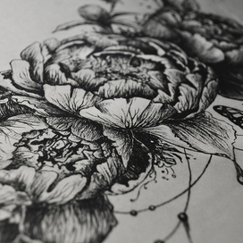 peonies