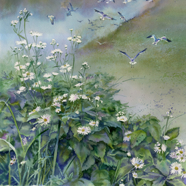 Пейзаж с чайками