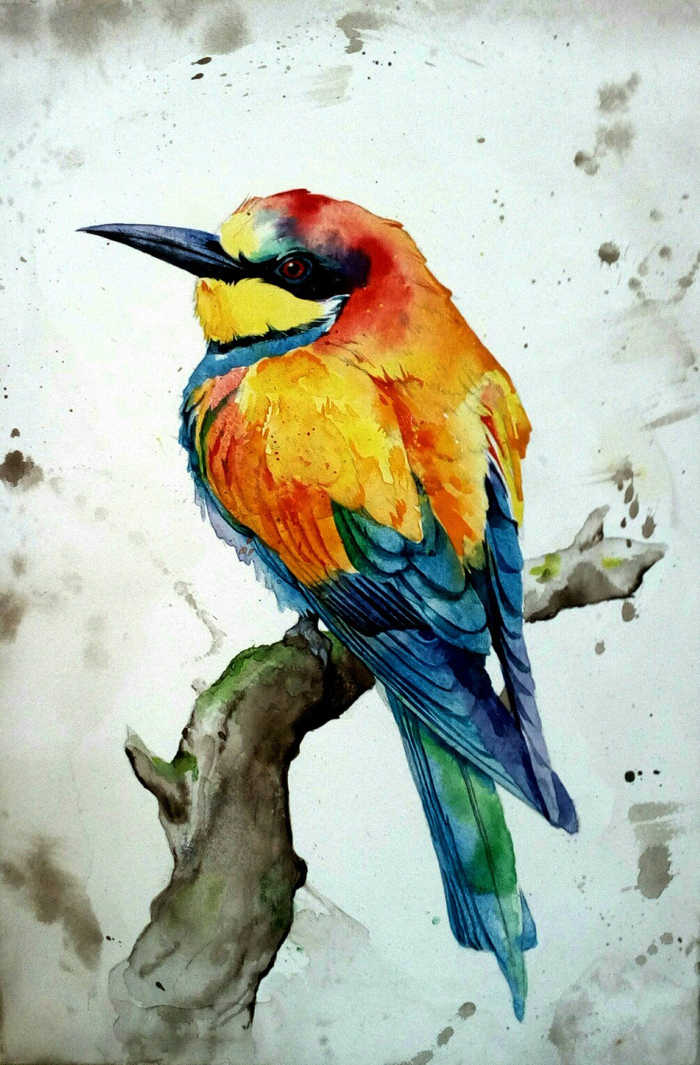 Больше цвета