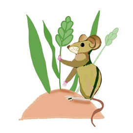 Мышонок в поле