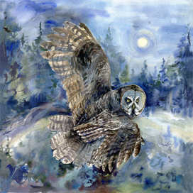 Бородатая неясыть