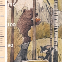 ростомер лес