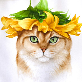 Кот с подсолнухом