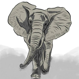 Elephant