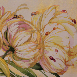 Пионы/ фрагмент