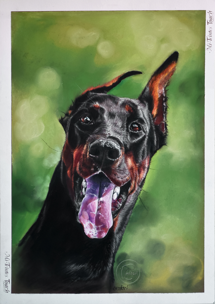 Юма Миракл из Банды Гарри (Ригма)