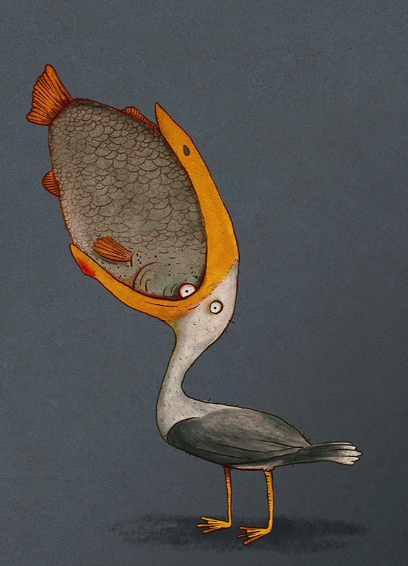 Средиземноморская чайка питается