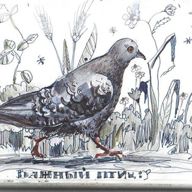 Важный птиц :)