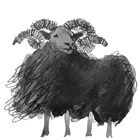 горный баран