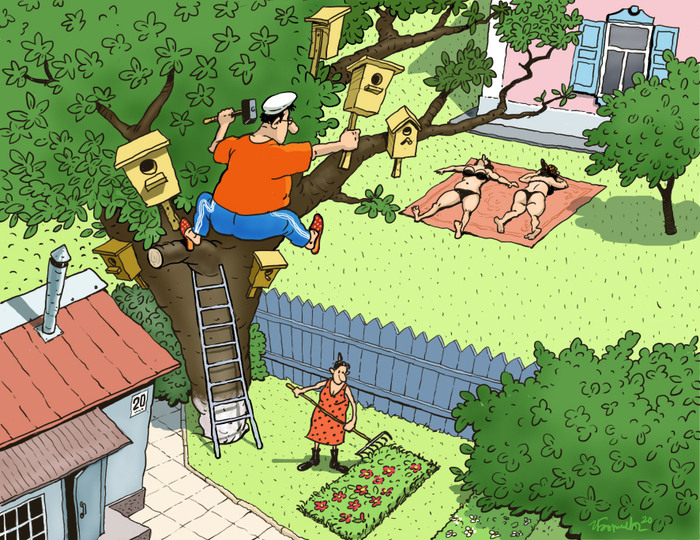 Дачная забота о птицах.