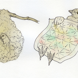 Иллюстрации