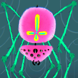 Spider