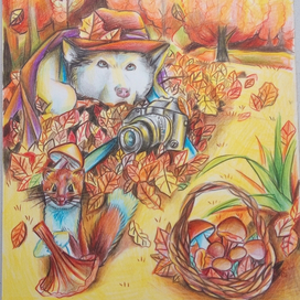 Охотник за кадром