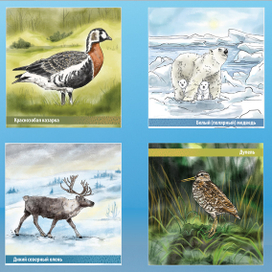 Буклет Газпром Экология