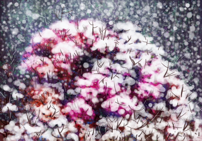 Февраль  / история одного букета/