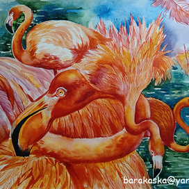 Розовые птицы