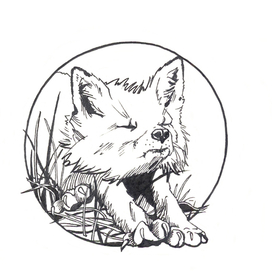 Доброе утро!