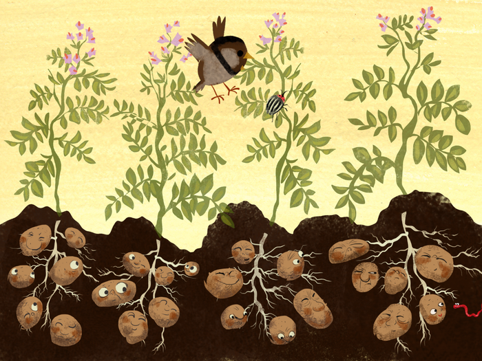 Таблица Умножения Усачев