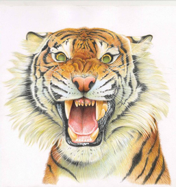 Календарь. Май