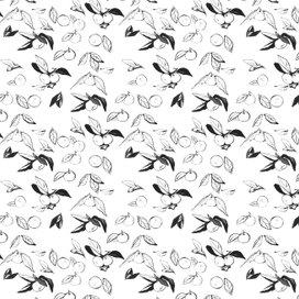 Раскраска -мандаринки, ч/б, паттерн
