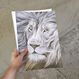 lion