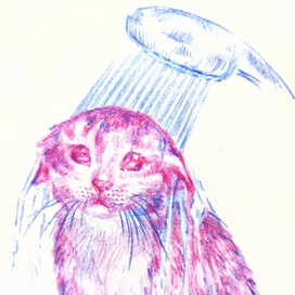 "Я не плачу это дождь" или грустный кот мокнет под душем